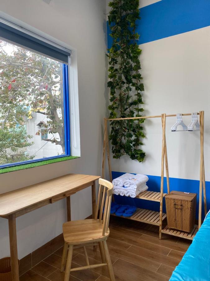 Cat Homestay Куинён Экстерьер фото